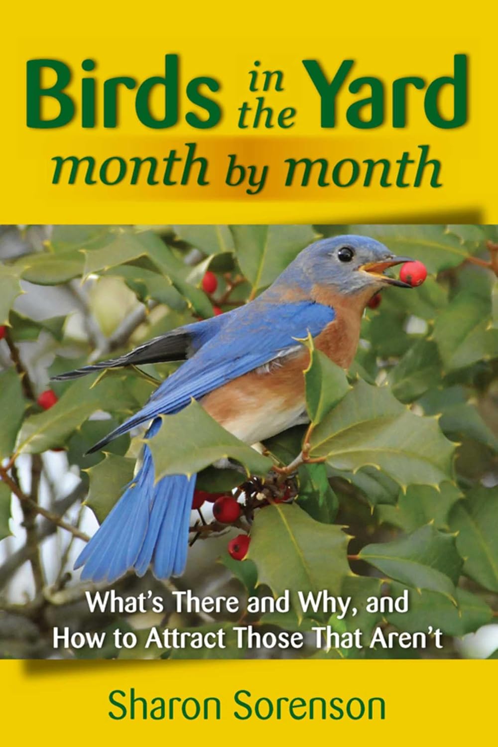 ler totalmente Birds in the Yard Month by Month (English Edition)