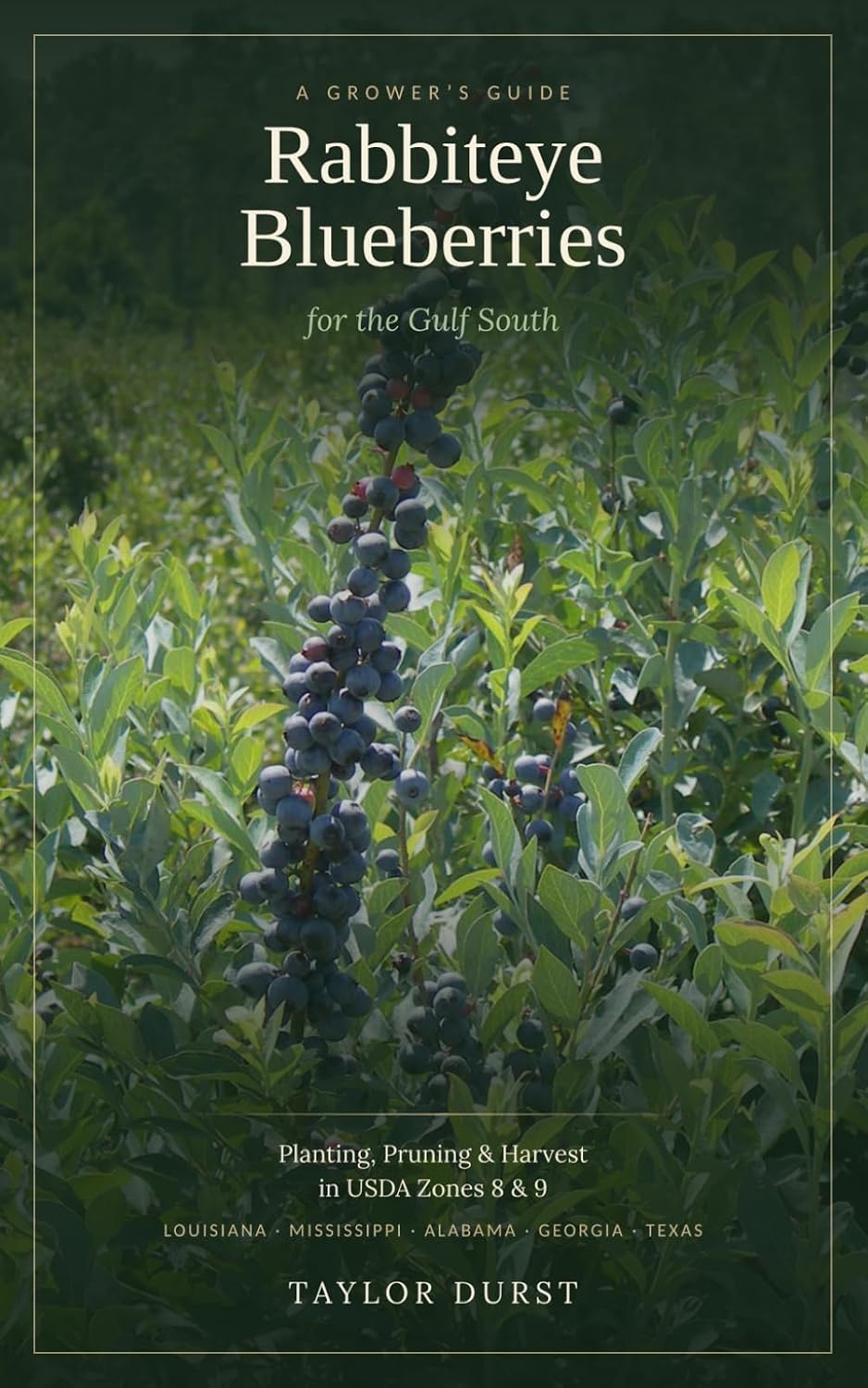 Rabbiteye Blueberries for the Gulf South: Planting, Pruning, and Harvest in Zones 8 to 9 baixar livro de graça