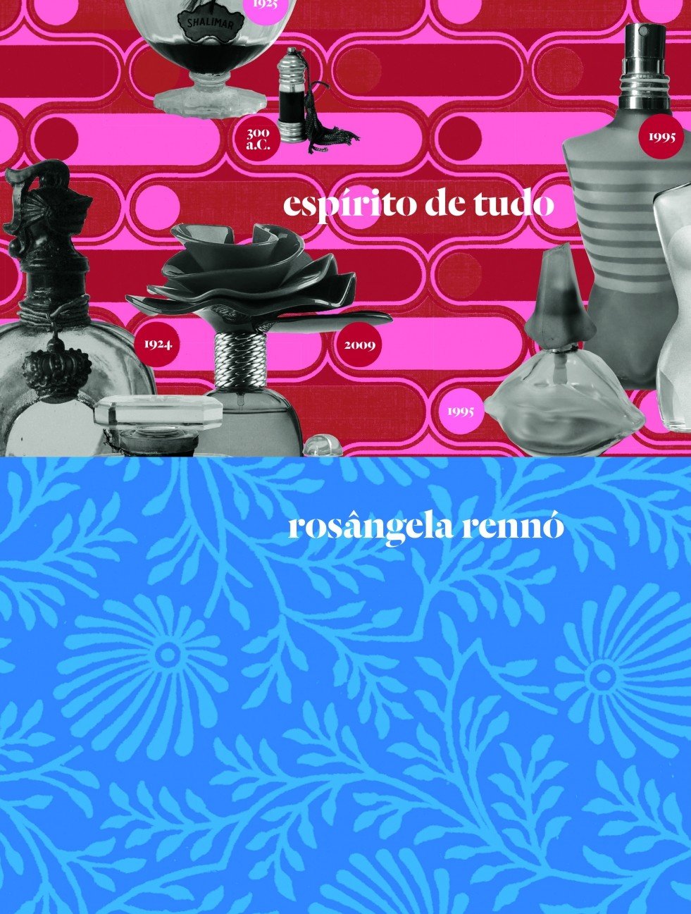 Espírito de tudo: Rosângela Rennó