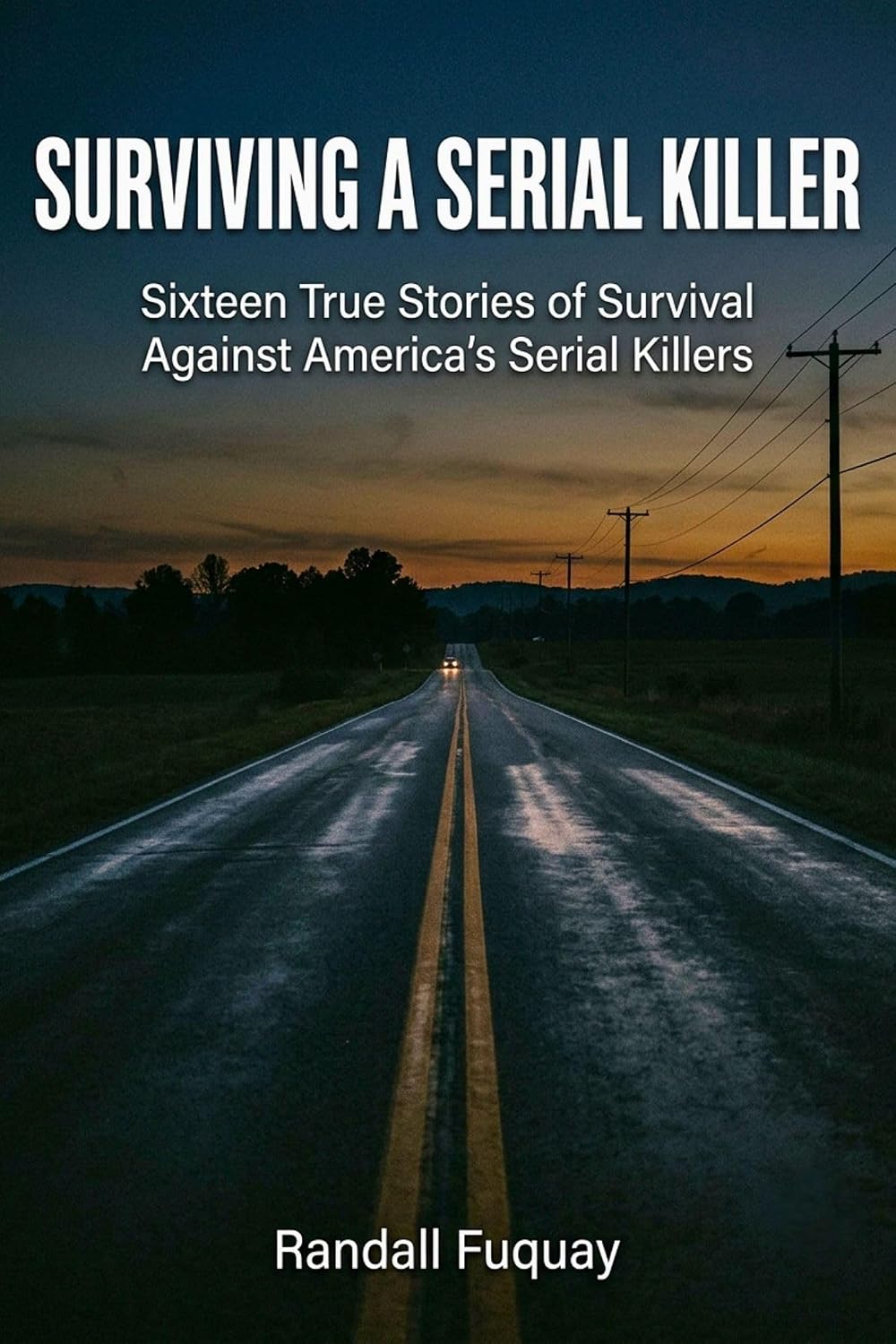 ler totalmente SURVIVING A SERIAL KILLER: Sixteen True Stories of Survival Against America’s Serial Killers (English Edition)
