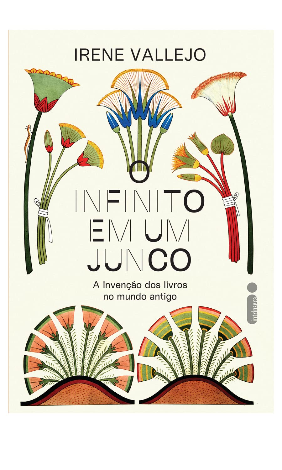 O infinito em um junco: A invenção dos livros no mundo antigo baixar o livro de graça