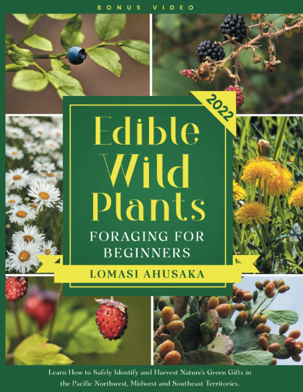 Edible Wild Plants Foraging for Beginners: Learn How to Identify Safely and Harvest Nature's Green Gifts in the Pacific Northwest, Midwest, and Southeast Territories baixar livro de graça