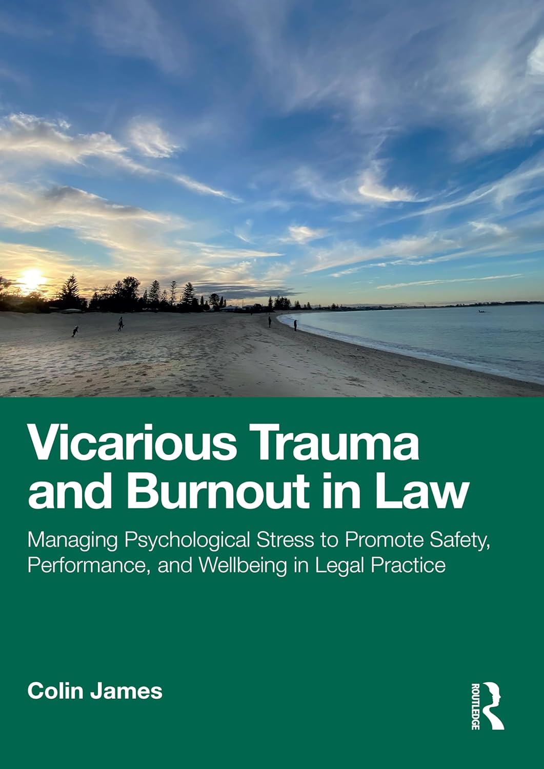 Vicarious Trauma and Burnout in Law: Managing Psychological Stress to Promote Safety, Performance, and Wellbeing in Legal Practice (English Edition) baixar livro de graça