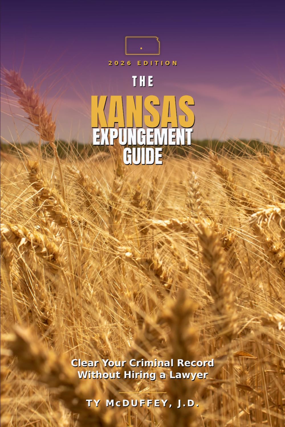 capítulo por capítulo baixar The Kansas Expungement Guide: How to Clear Your Criminal Record Without Hiring a Lawyer