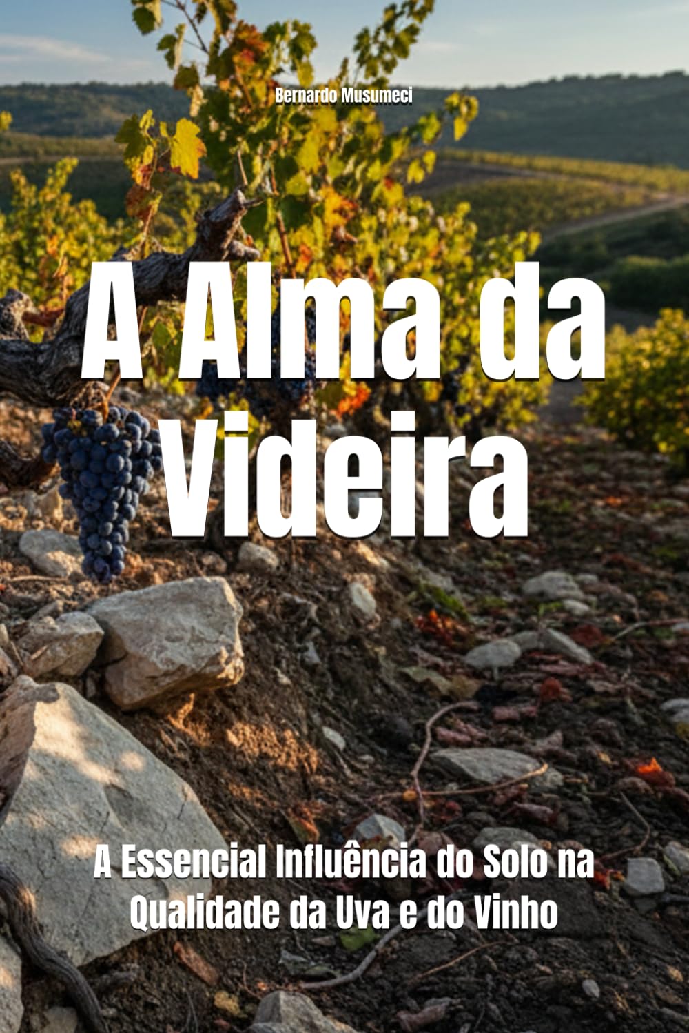 A Alma da Videira: : A Essencial Influência do Solo na Qualidade da Uva e do Vinho