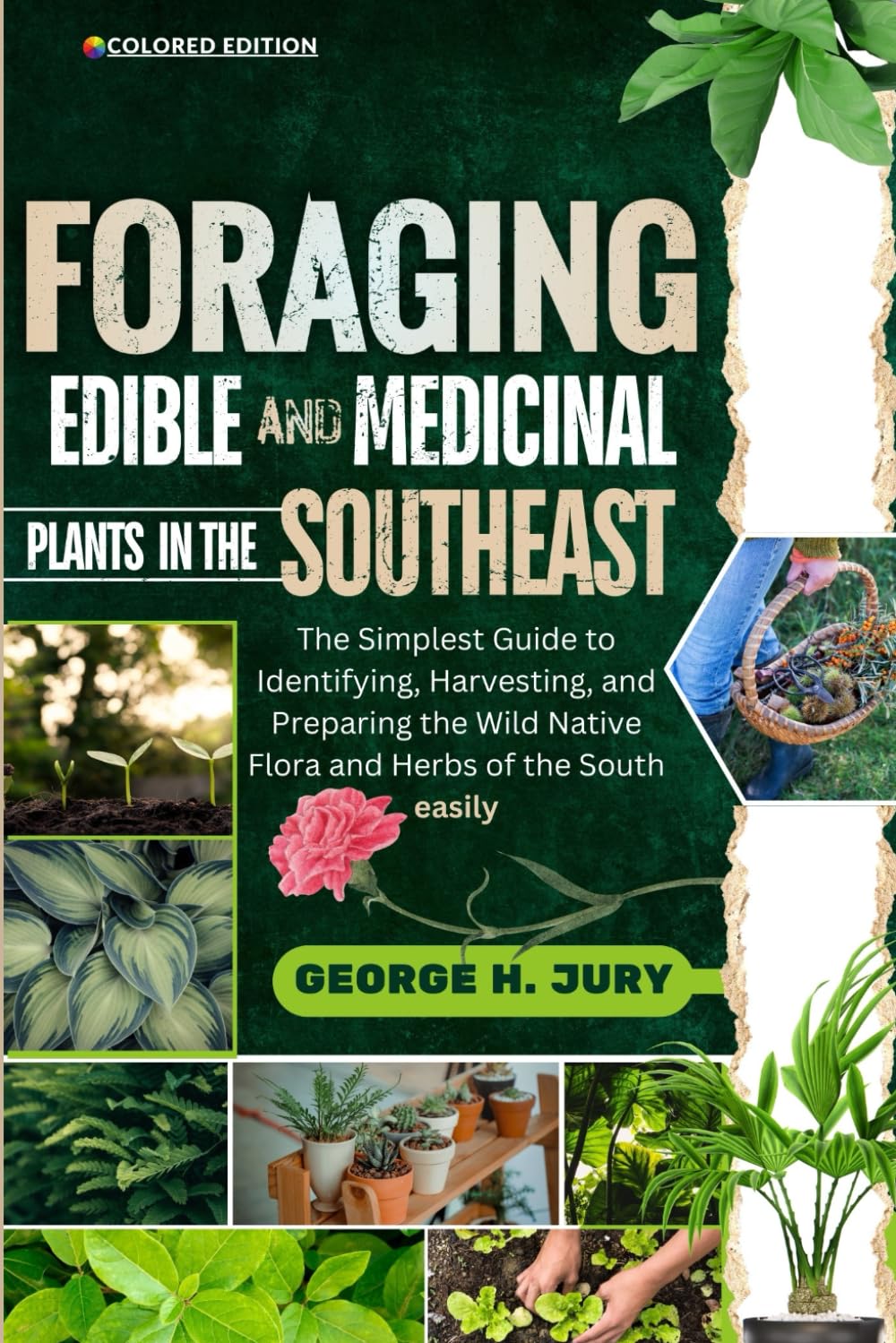 FORAGIN EDIBLE AND MEDICINAL PLANTS IN THE SOUTHEAST: The Simplest Guide to Identifying, Harvesting, and Preparing the Wild Native Flora and Herbs of the South easily baixar o livro de graça