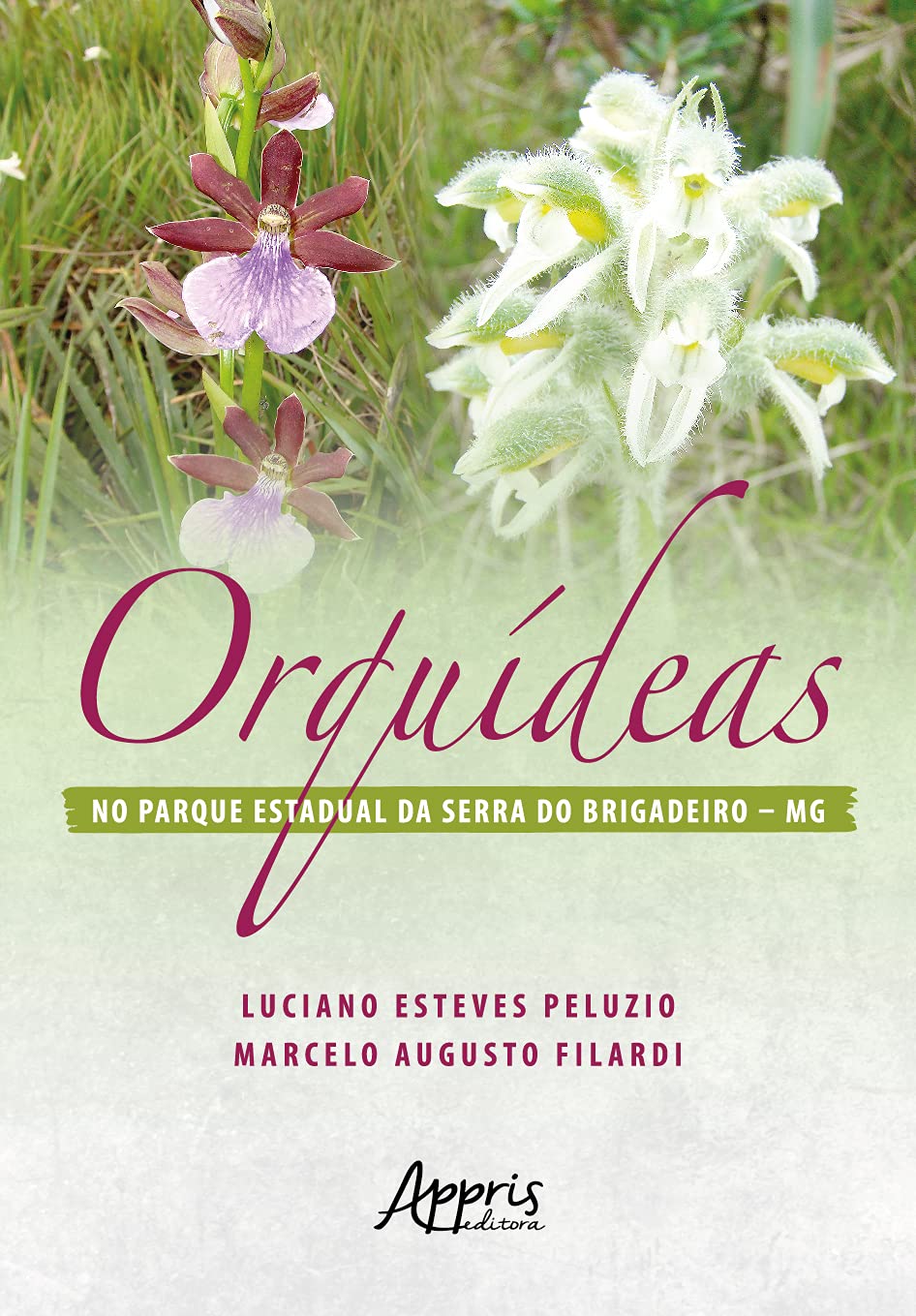 Orquídeas no Parque Estadual da Serra do Brigadeiro - MG baixar livro de graça