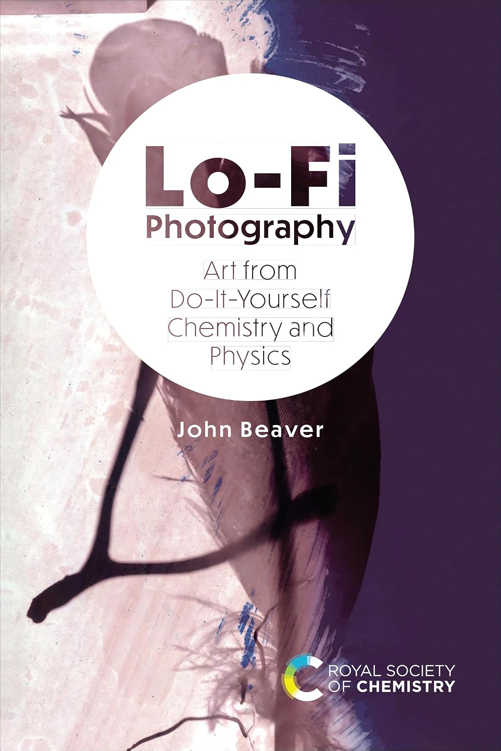 Lo-Fi Photography: Art from Do-It-Yourself Chemistry and Physics (English Edition) baixar o livro de graça
