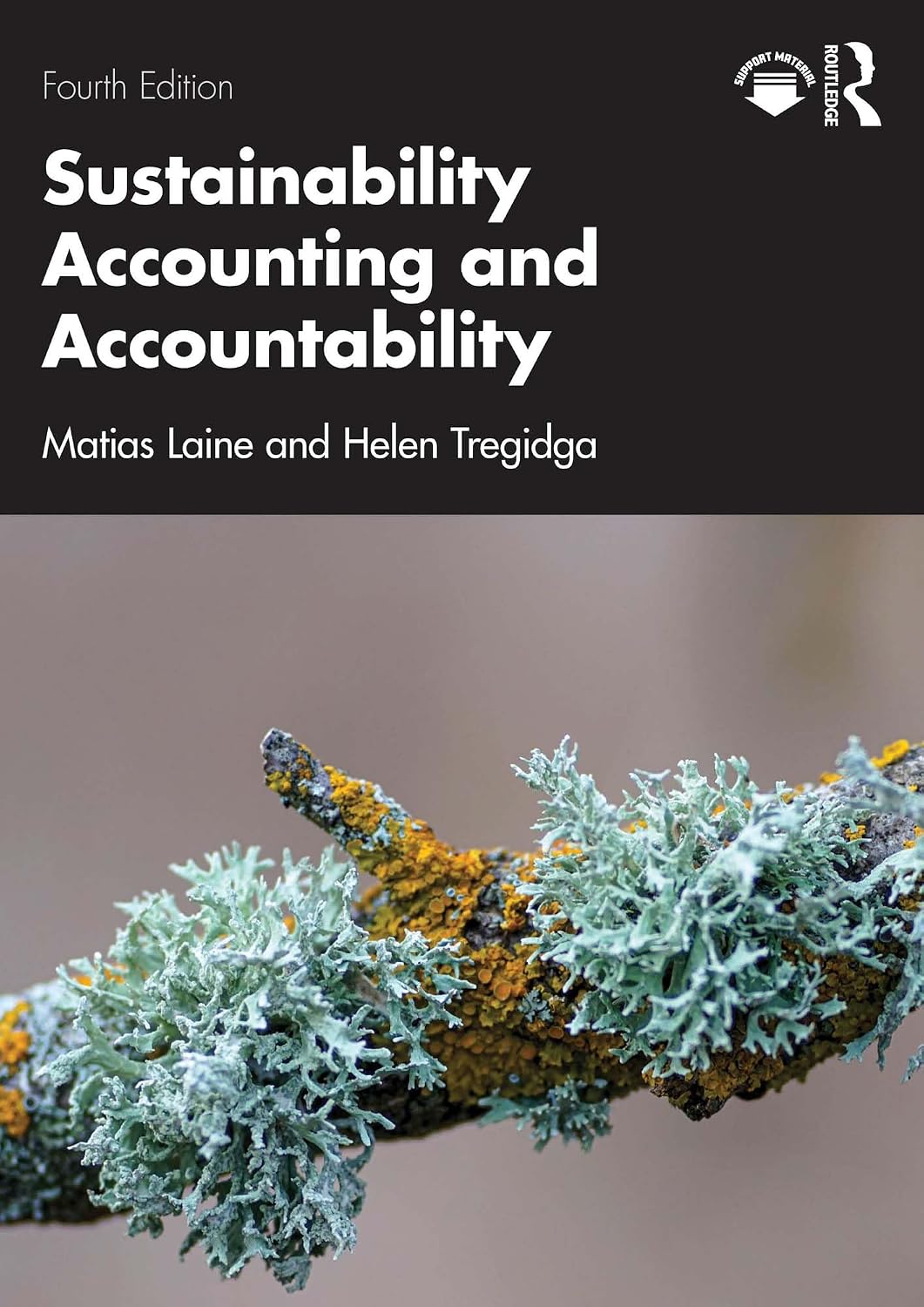 ler totalmente Sustainability Accounting and Accountability (English Edition)