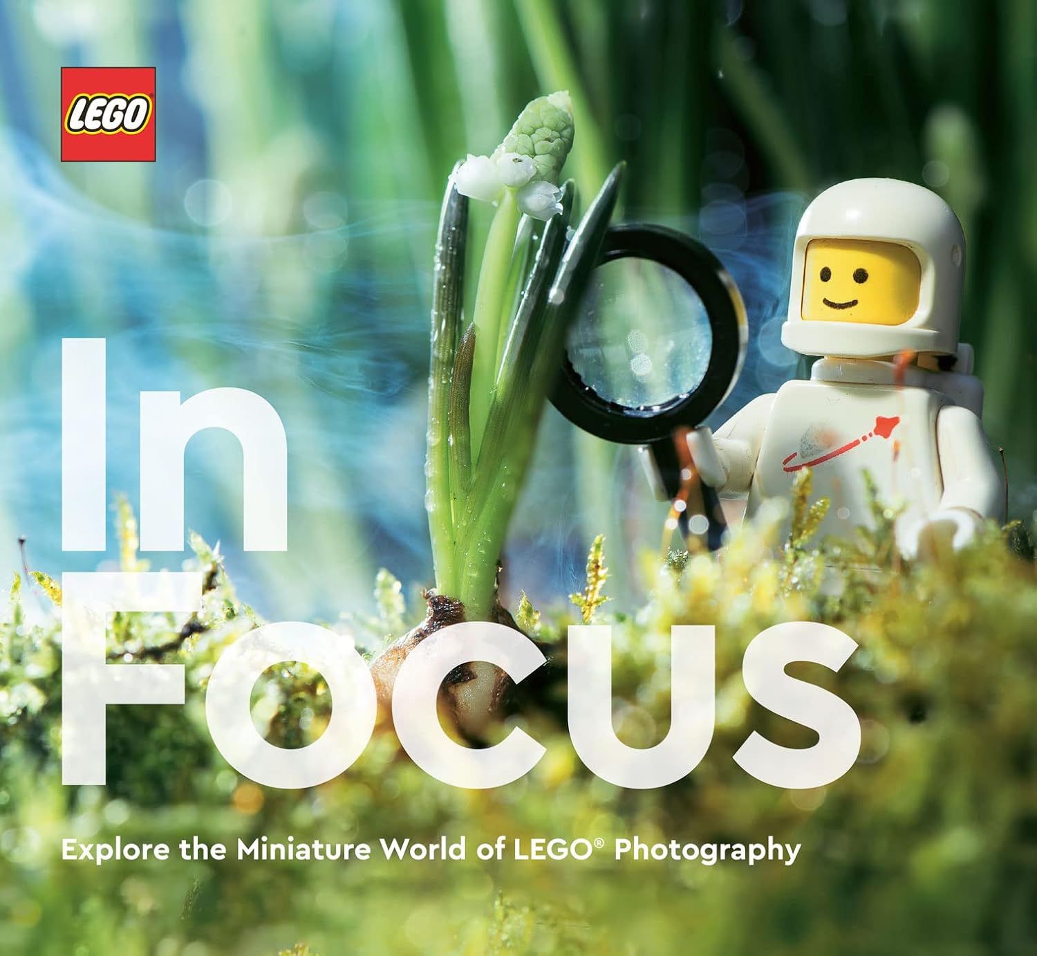 ler totalmente LEGO in Focus (English Edition)