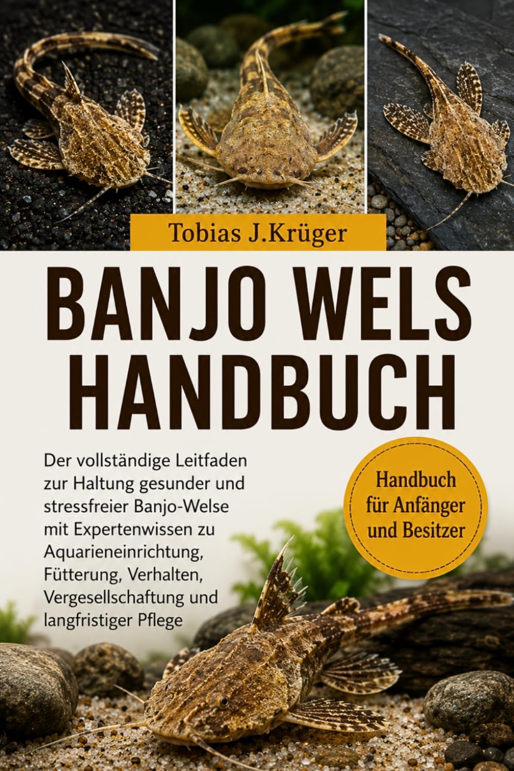 BANJO-WELS HANDBUCH: Der vollständige Leitfaden zur Haltung gesunder und stressfreier Banjo-Welse mit Expertenwissen zu Aquarieneinrichtung,... und langfristiger Pflege (German Edition) baixar o livro de graça
