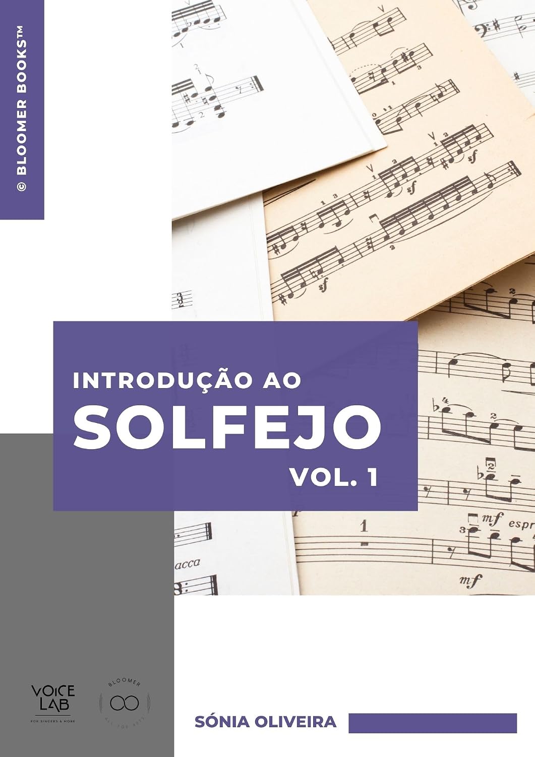 ler totalmente Introdução ao Solfejo - Vol. 1