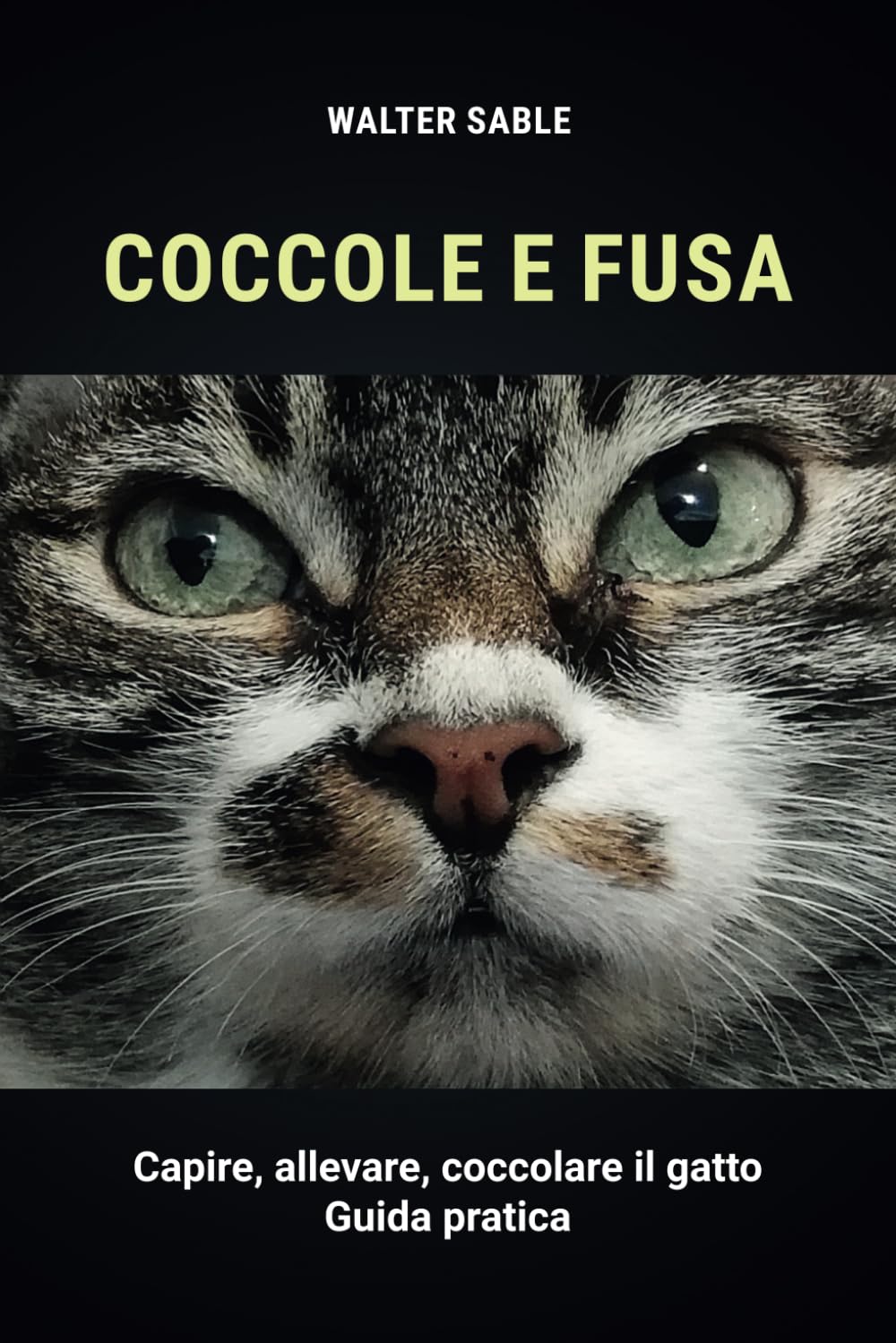 ler totalmente Coccole e fusa: Capire, allevare, coccolare il gatto - Guida pratica (Italian Edition)