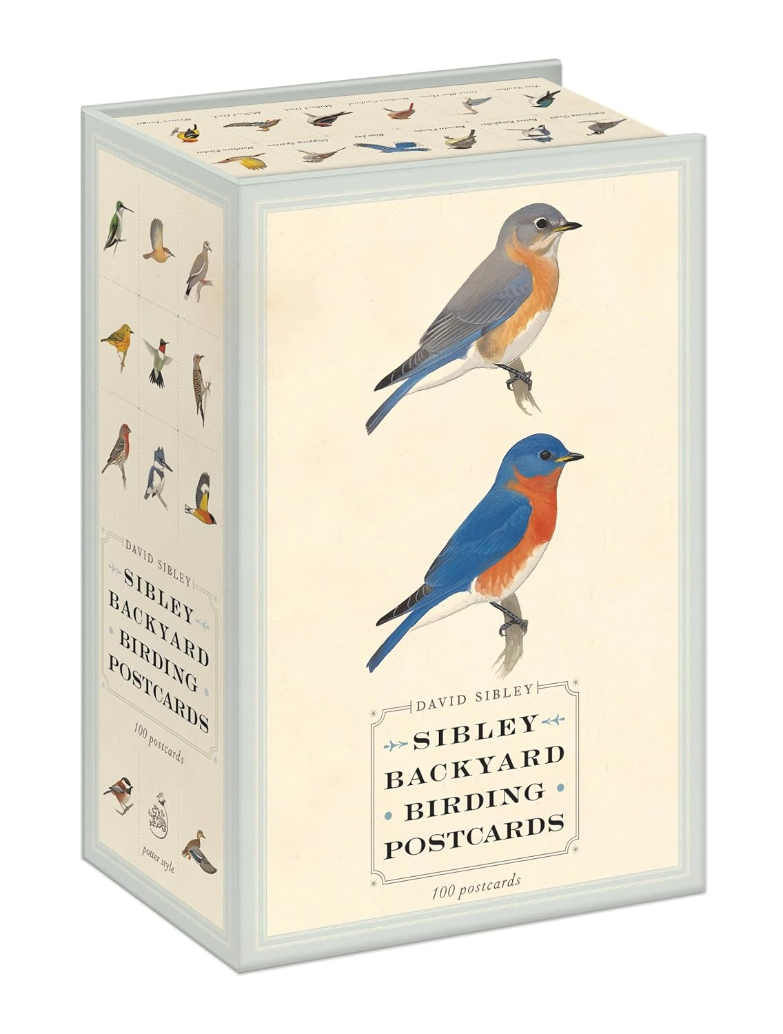 ler totalmente Sibley Backyard Birding Postcards: 100 Postcards