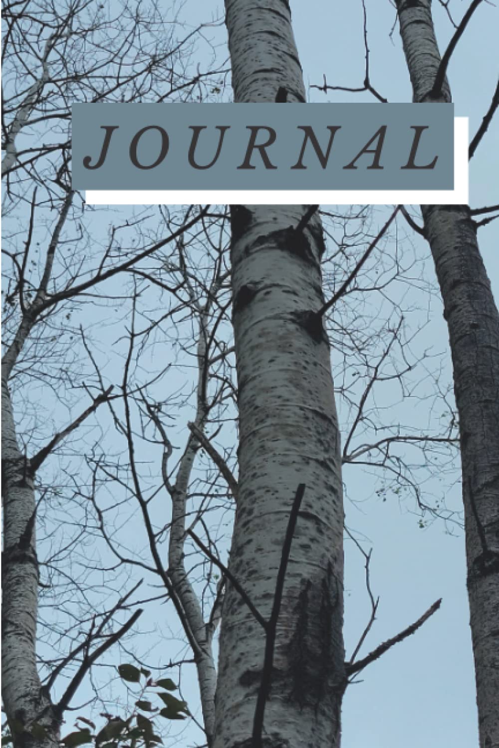 ler totalmente Journal: Pretty Birch Tree Journal, 120 pages, perfect for nature lovers, bird watchers, and day dreamers. Simple, clean, and classic.
