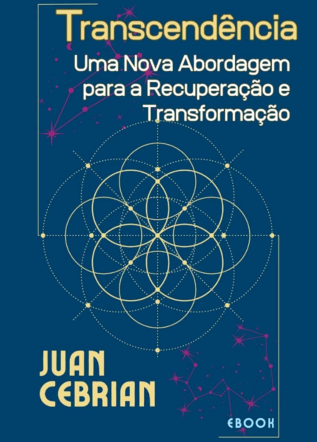 ler totalmente Transcendência Uma Nova Abordagem Para A Recuperação E Transformação