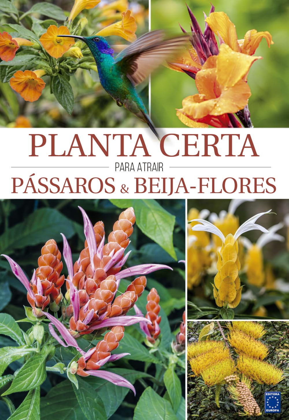 Planta Certa para atrair Pássaros & Beija-Flores baixar livro de graça