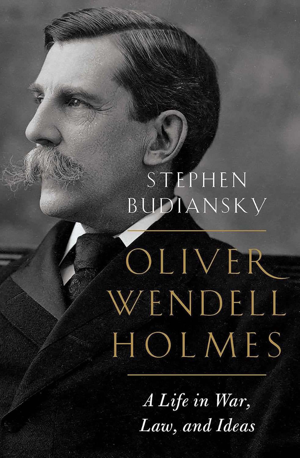 capítulo por capítulo baixar Oliver Wendell Holmes: A Life in War, Law, and Ideas