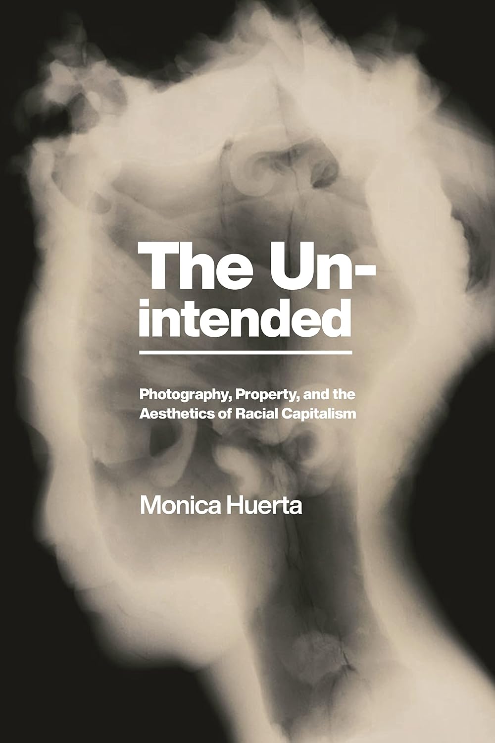 The Unintended: Photography, Property, and the Aesthetics of Racial Capitalism (America and the Long 19th Century) (English Edition)