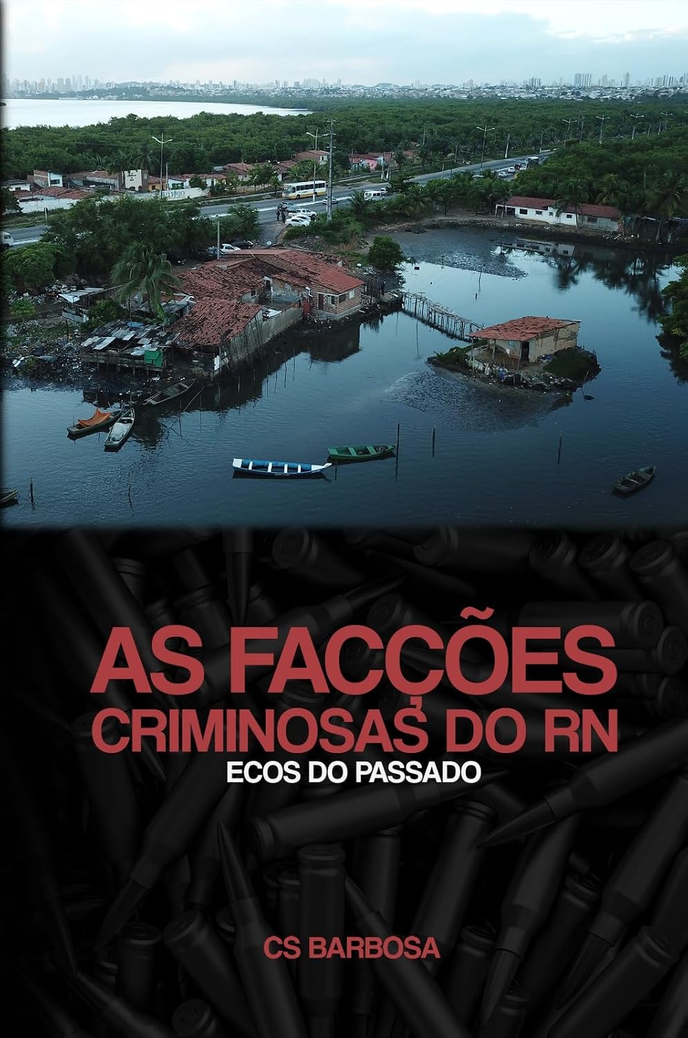 As Facções Criminosas do RN: ecos do passado baixar livro de graça