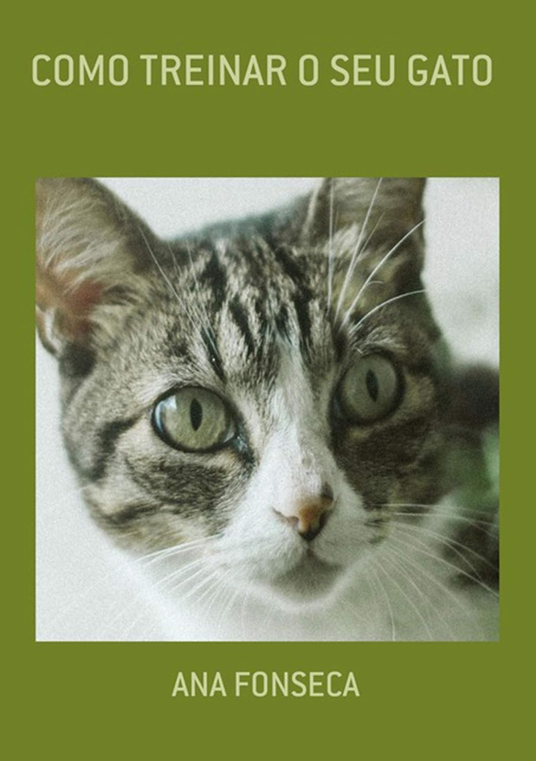 ler totalmente Como Treinar O Seu Gato