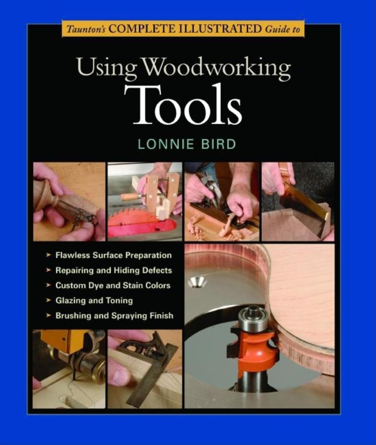 capítulo por capítulo baixar Taunton's Complete Illustrated Guide to Using Woodworking Tools