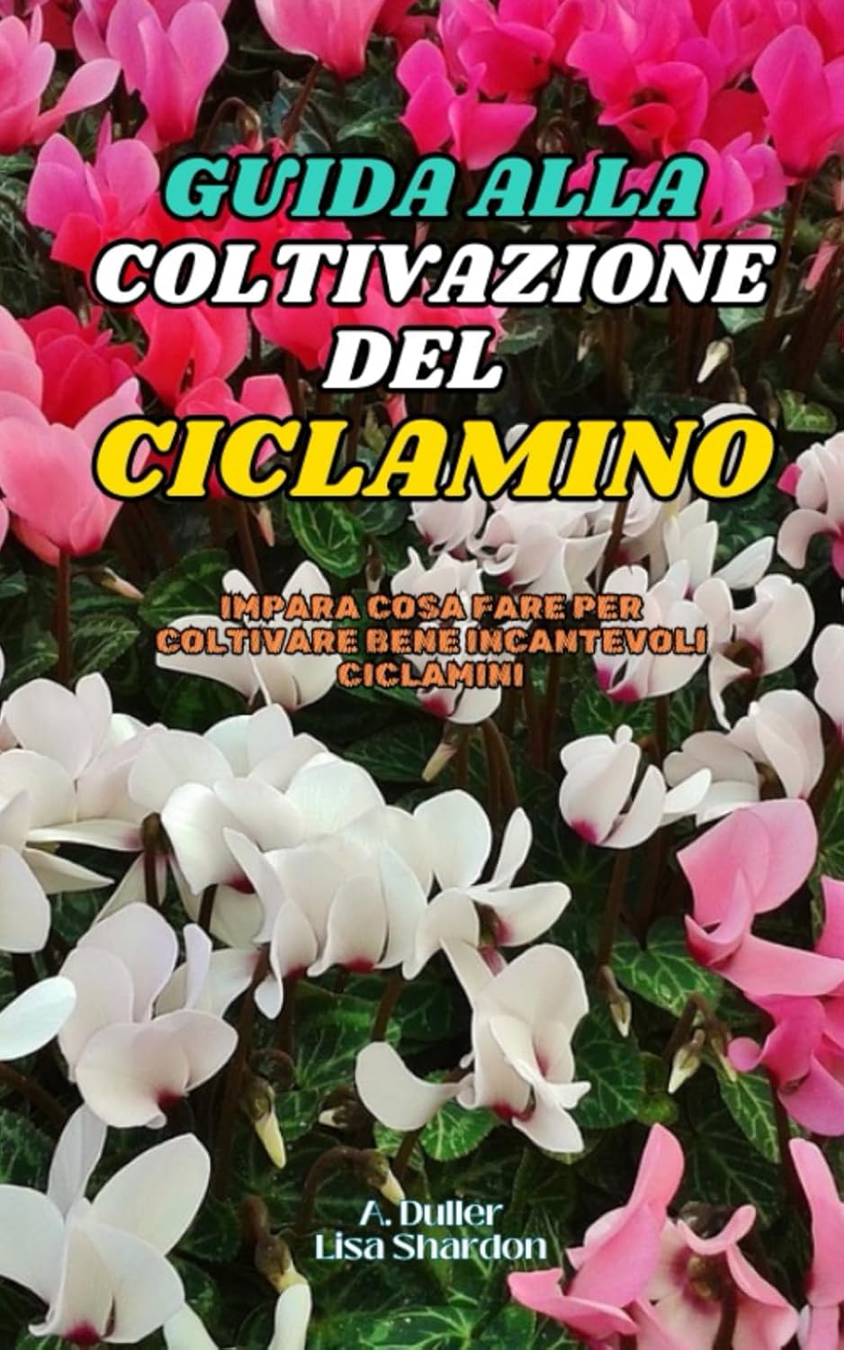 ler totalmente Guida alla Coltivazione del Ciclamino: Impara cosa fare per coltivare bene incantevoli Ciclamini