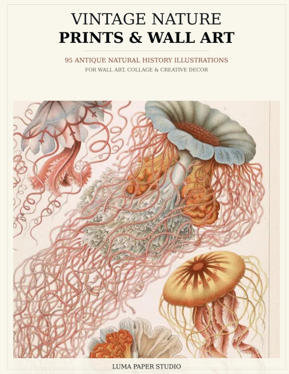 Vintage Nature Prints & Wall Art: 95 Antique Natural History Illustrations for Wall Art, Collage & Creative Decor (The vintage print Art) baixar o livro de graça
