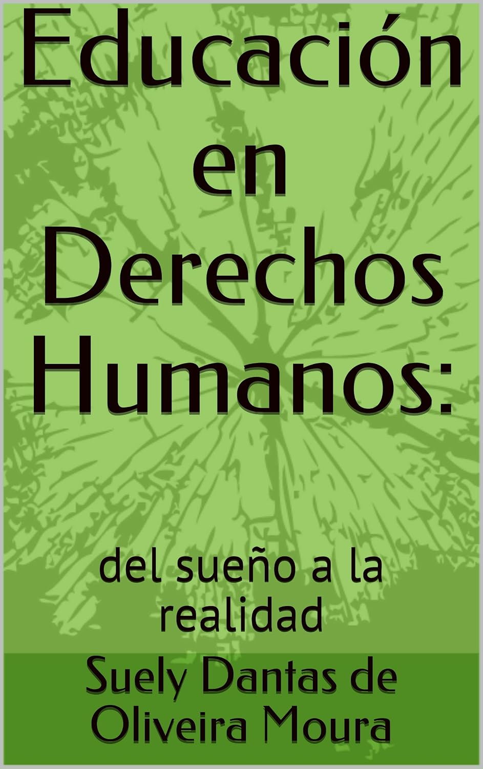 Educación en Derechos Humanos:: del sueño a la realidad (1) baixar o livro de graça