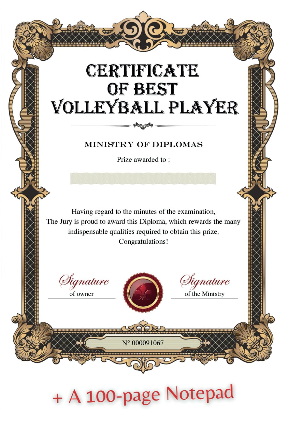 Diploma of Best Volleyball Player: Gift idea baixar o livro de graça