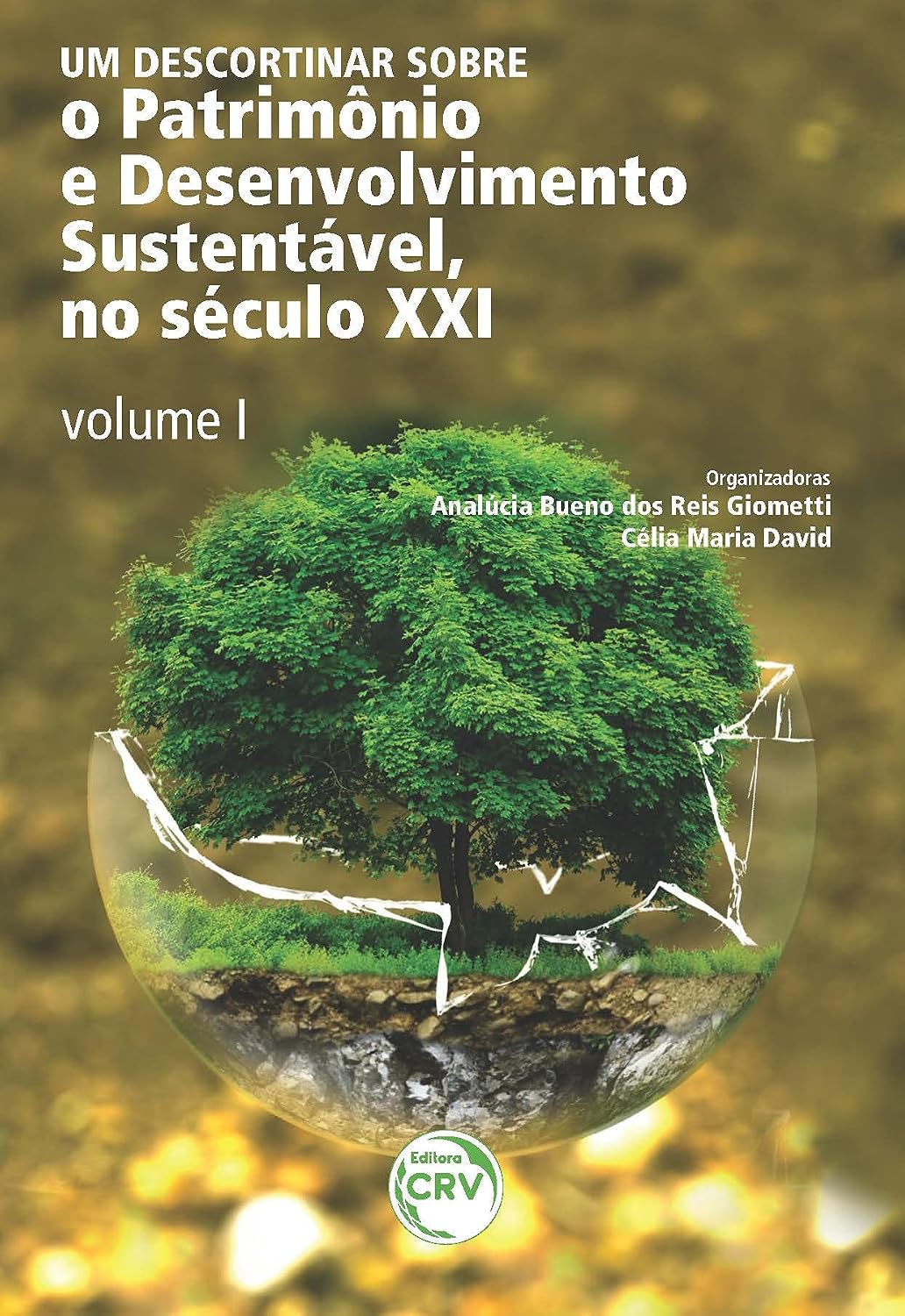 Um descortinar sobre o patrimônio e desenvolvimento sustentável, no Século XXI - Volume I baixar o livro de graça