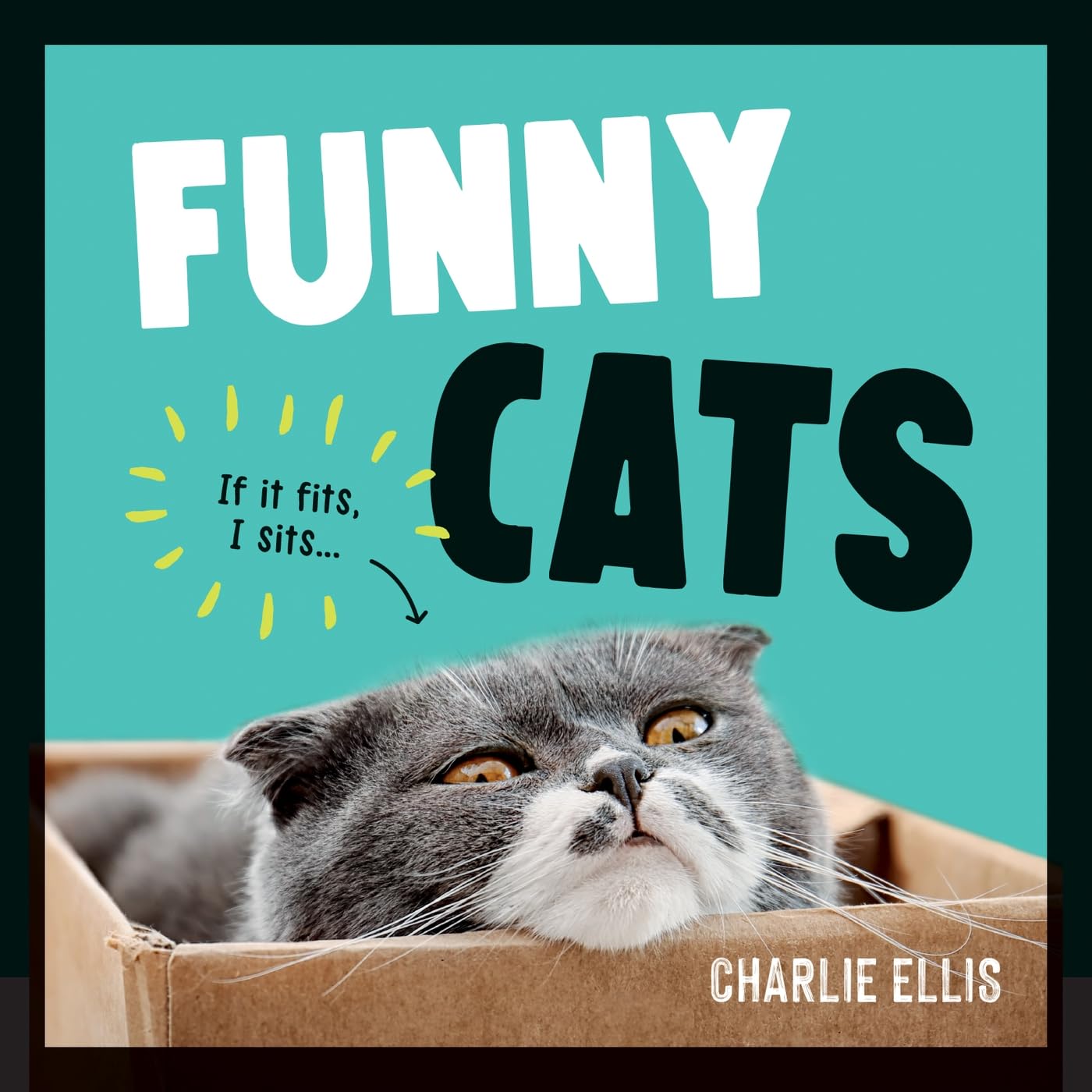 Funny Cats: A Hilarious Collection of the World’s Funniest Felines and Most Relatable Memes (English Edition) baixar livro de graça