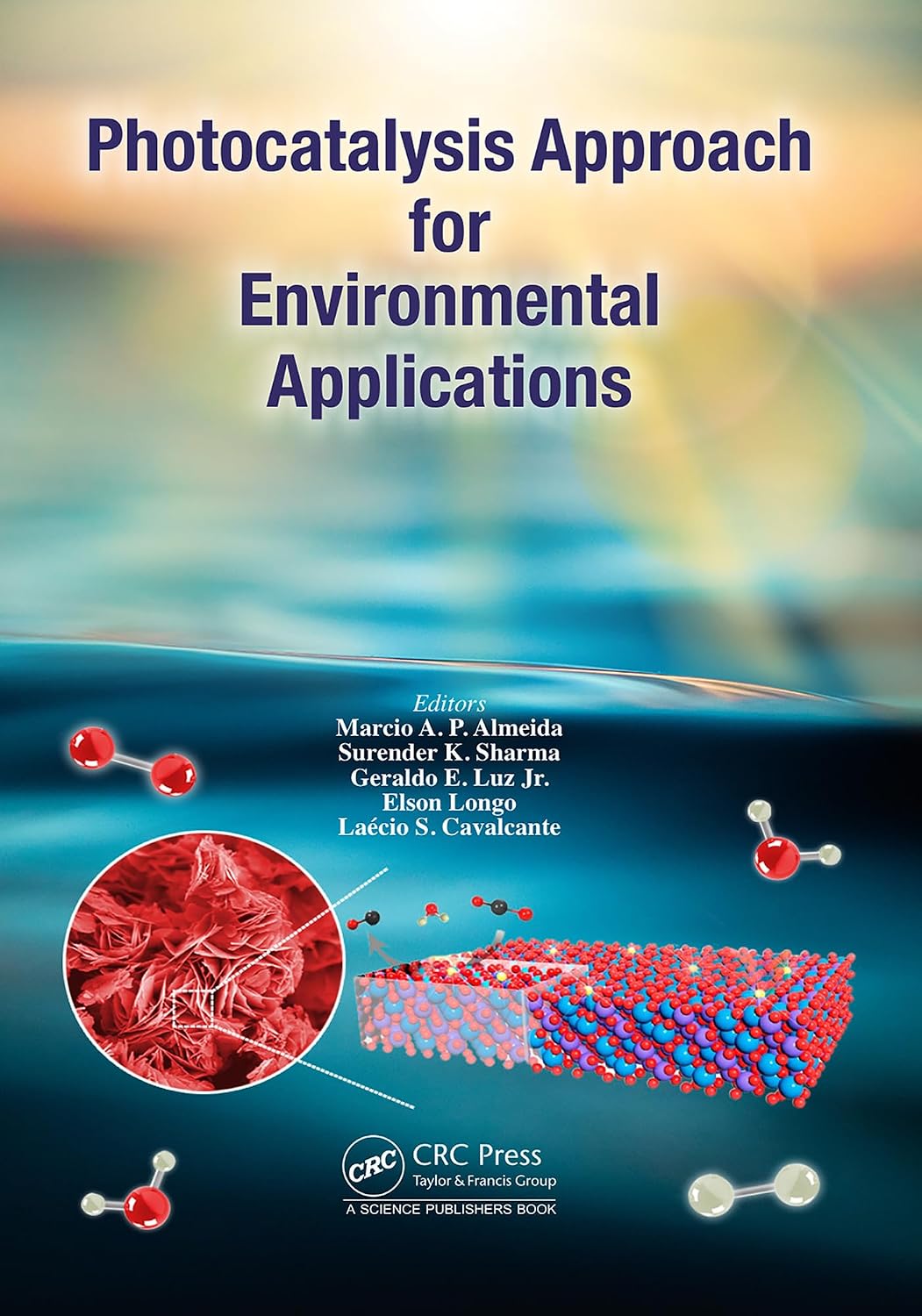 ler totalmente Photocatalysis Approach for Environmental Applications (English Edition)