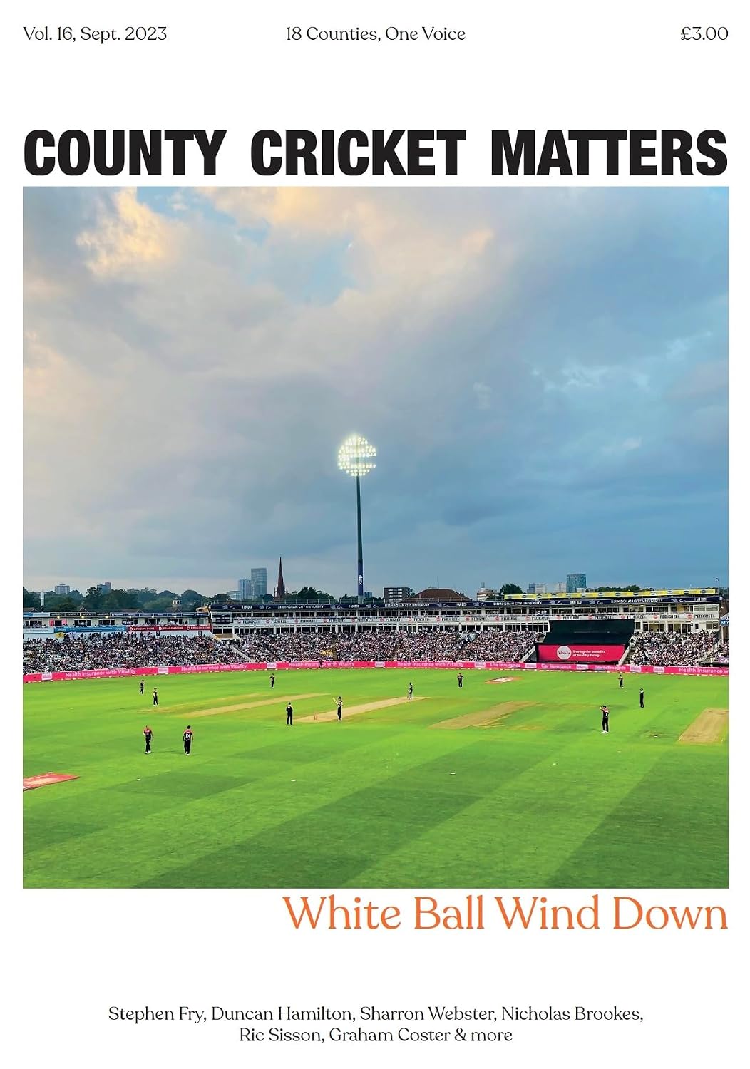 County Cricket Matters: Volume 16 (English Edition)