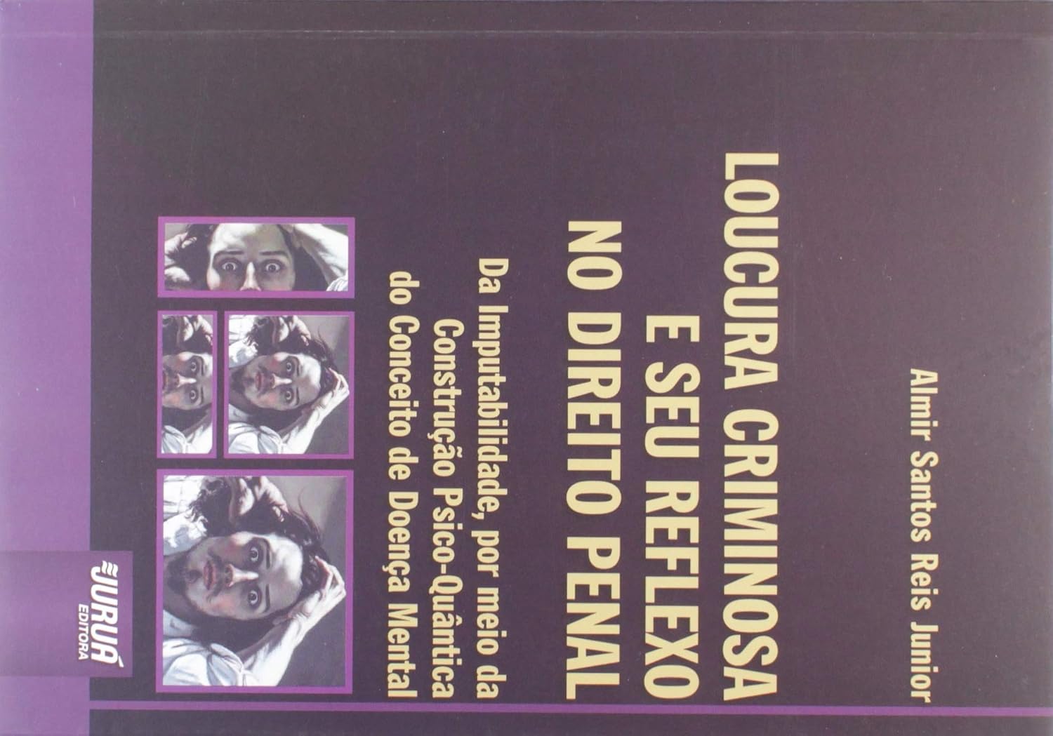Loucura Criminosa e Seu Reflexo no Direito Penal: Da Imputabilidade, por meio da Construção Psico-Quântica do Conceito de Doença Mental