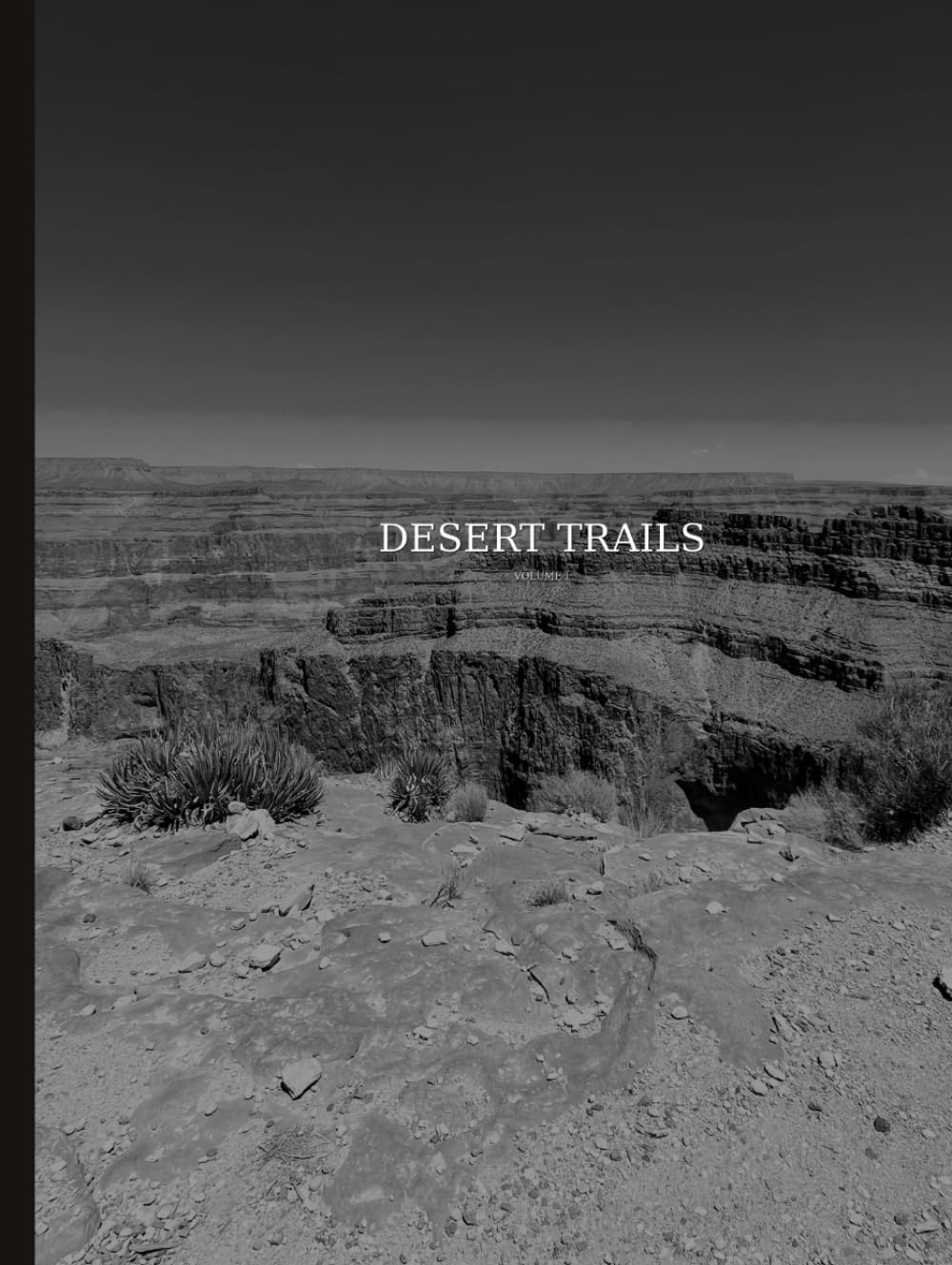 capítulo por capítulo baixar Desert Trails: A Fine Art Photography Journey Through the American Southwest