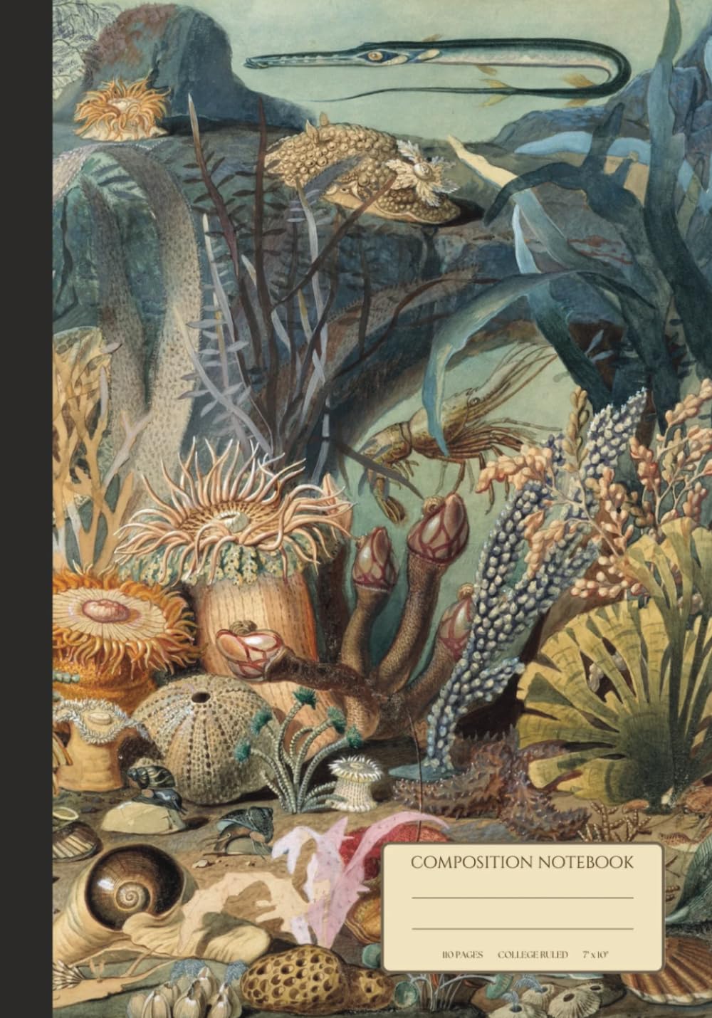 Science Composition Notebook - Ocean Life: Vintage Botanical College Ruled Journal 110 pages - for University, School, Office, Gifts baixar o livro de graça