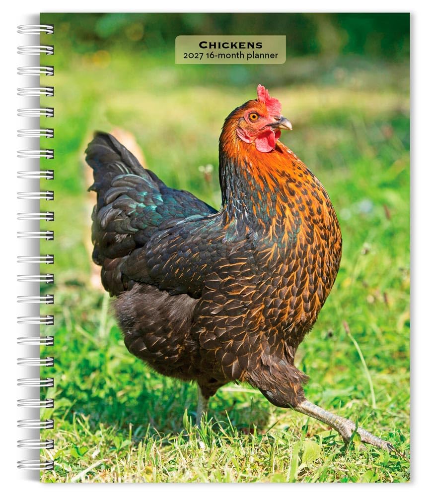 capítulo por capítulo baixar Chickens | 2027 6 x 7.75 Inch Spiral-Bound Wire-O Weekly Engagement Planner Calendar | New Full-Color Image Every Week | BrownTrout | Domestic Farm Animals