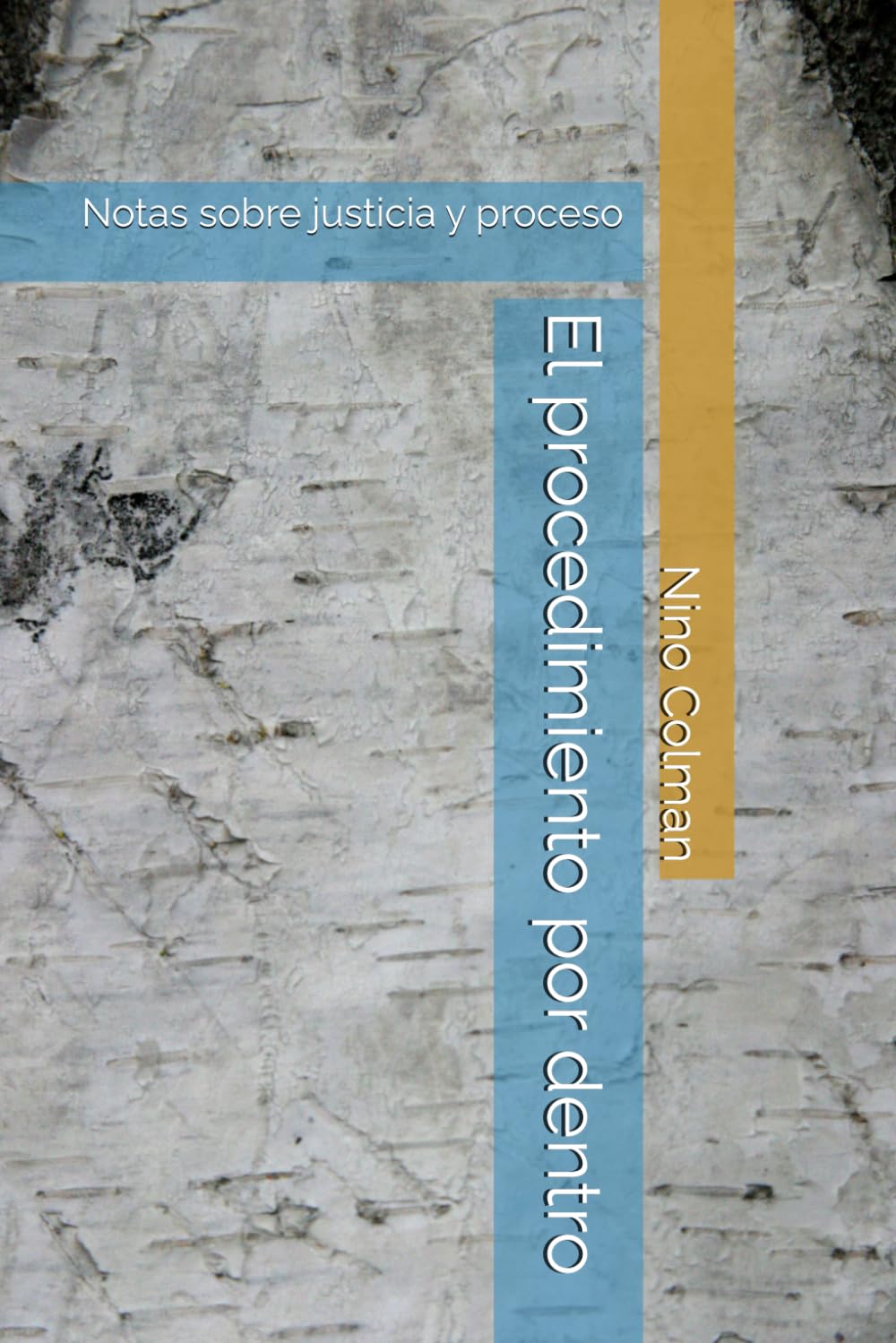 El procedimiento por dentro: Notas sobre justicia y proceso (Spanish Edition) baixar o livro de graça