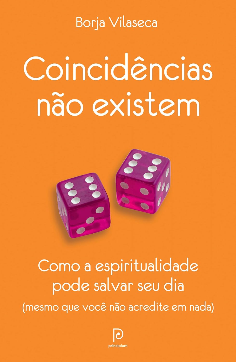 Coincidências não existem: Como a espiritualidade pode salvar seu dia - mesmo que você não acredite em nada baixar livro de graça