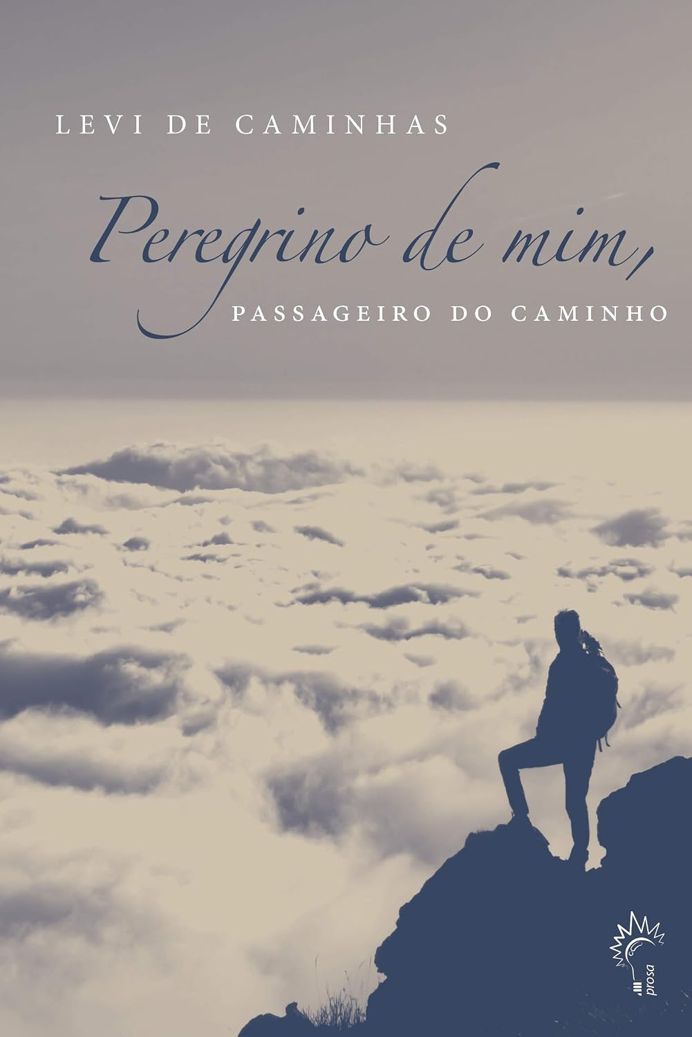 Peregrino de mim, passageiro do caminho: Caminhando em busca de respostas baixar livro de graça
