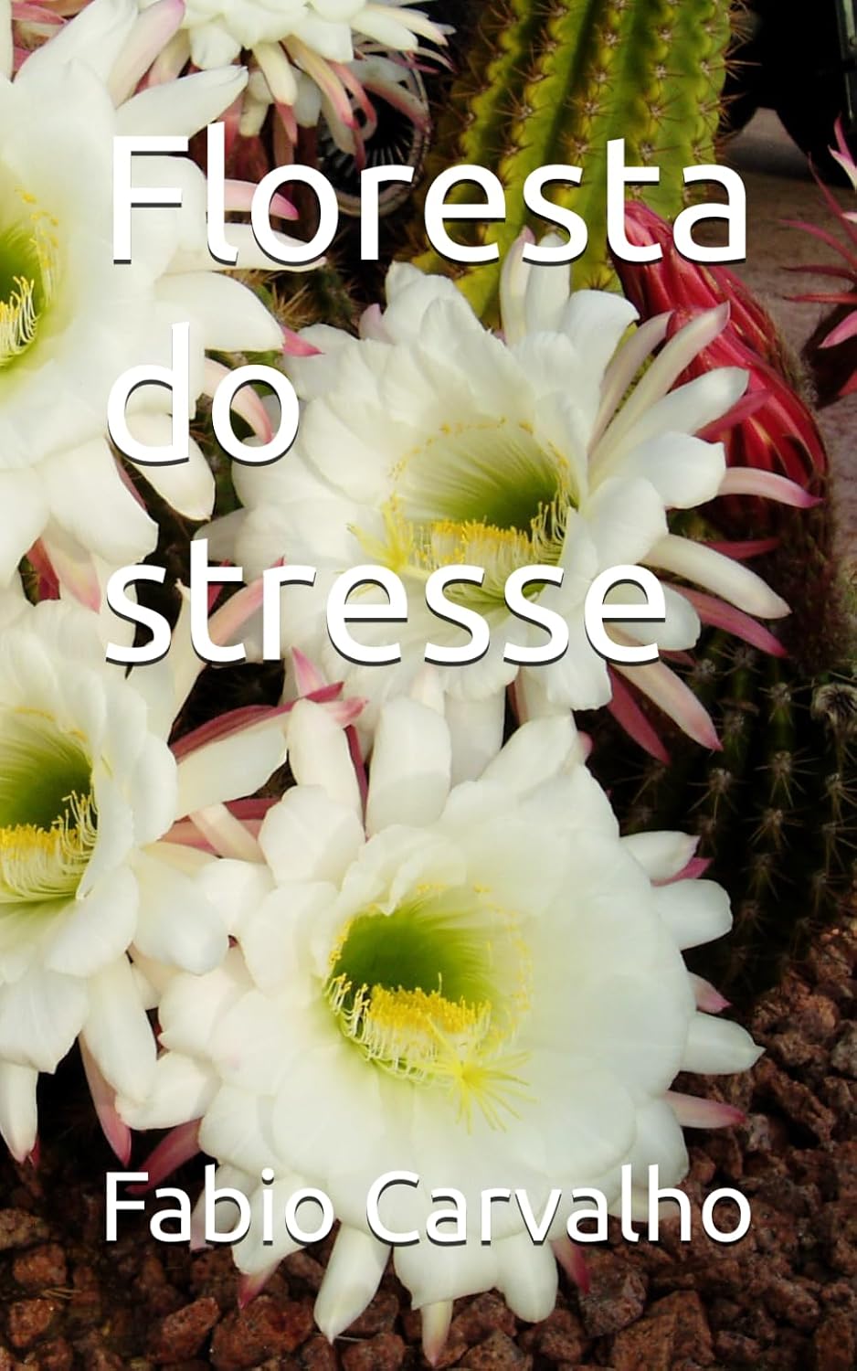 ler totalmente Floresta do stresse (Portuguese Edition)