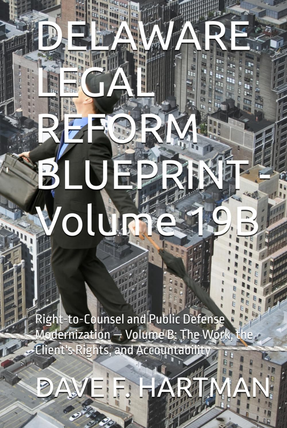 DELAWARE LEGAL REFORM BLUEPRINT - Volume 19B: Right-to-Counsel and Public Defense Modernization — Volume B: The Work, the Client's Rights, and Accountability (Delaware Legal Reform Series) baixar livro de graça