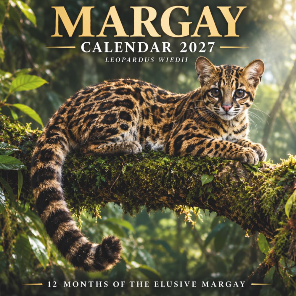 capítulo por capítulo baixar Margay Calendar 2027: Wild Elegance • Forest Spirit • Silent Acrobat