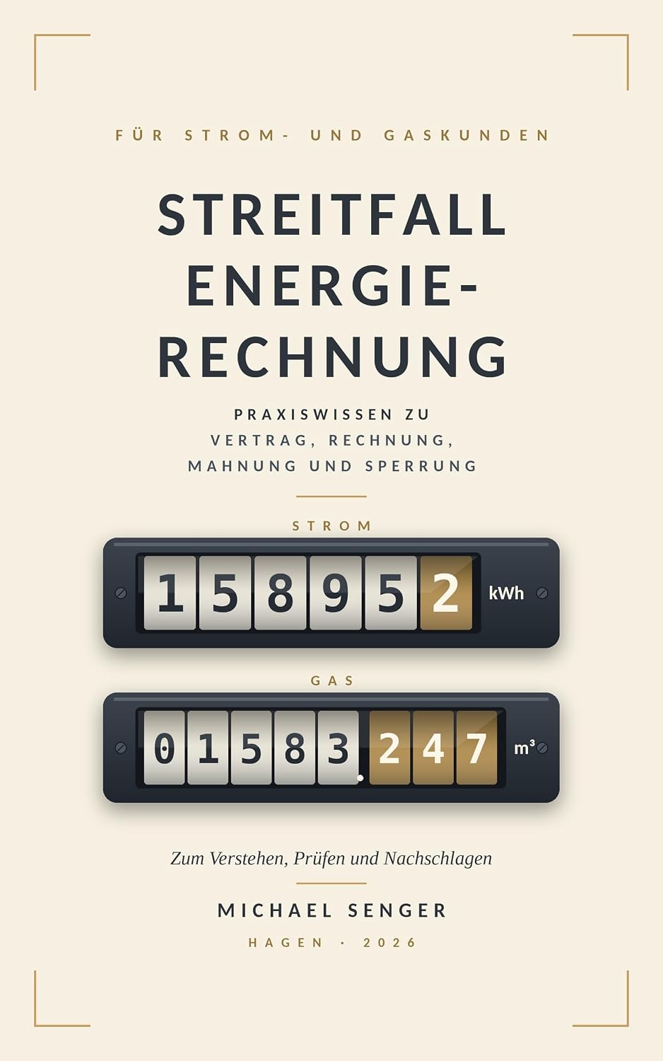 Streitfall Energierechnung: Praxiswissen zu Vertrag, Rechnung, Mahnung und Sperrung (German Edition) baixar o livro de graça
