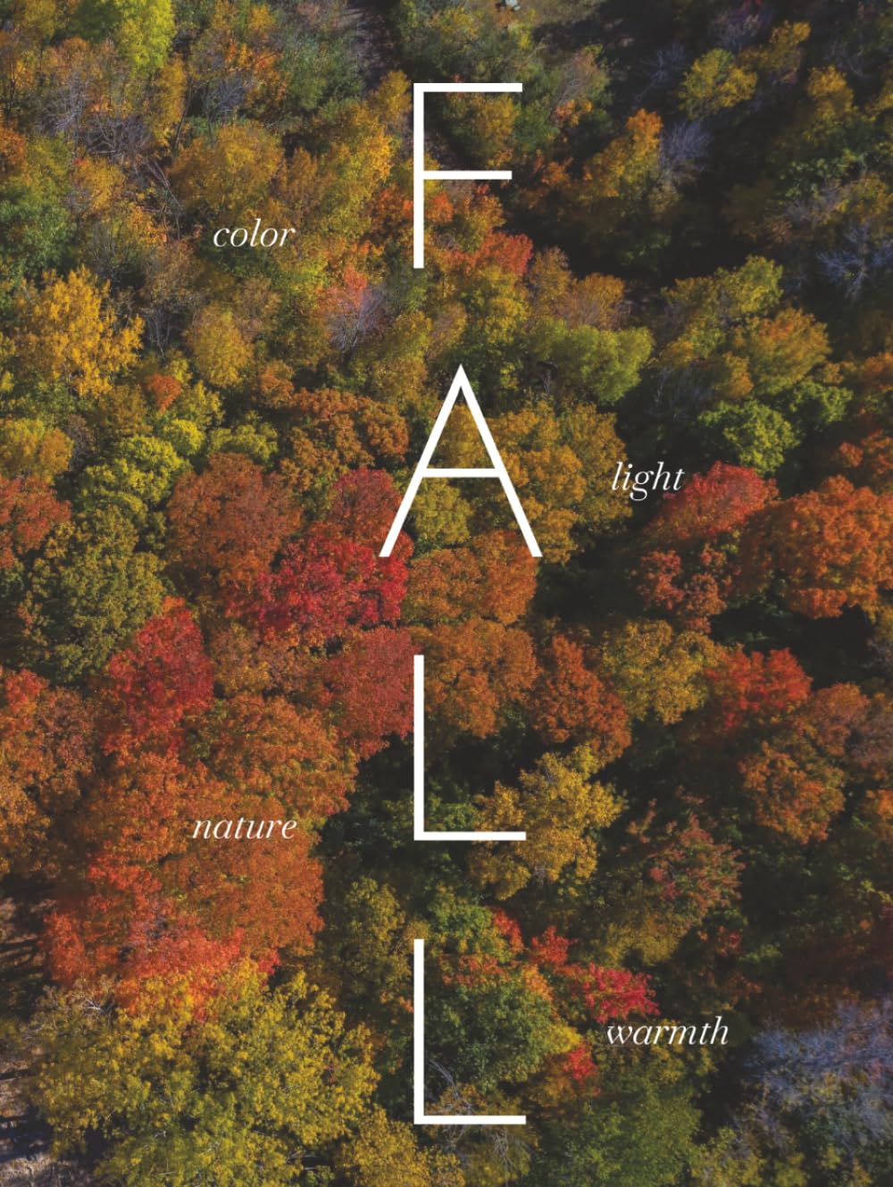 FALL: A visual journey into the beauty of the season (THE COFFEE TABLE BOOKS) baixar o livro de graça