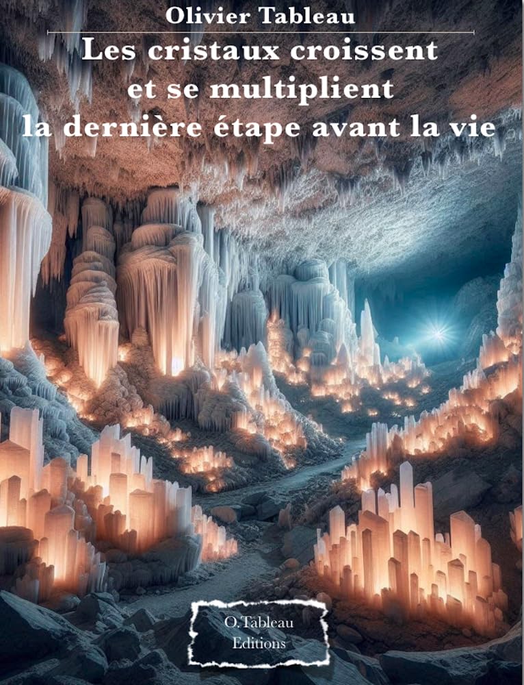 capítulo por capítulo baixar Les cristaux croissent et se multiplient la dernière étape avant la vie (French Edition)