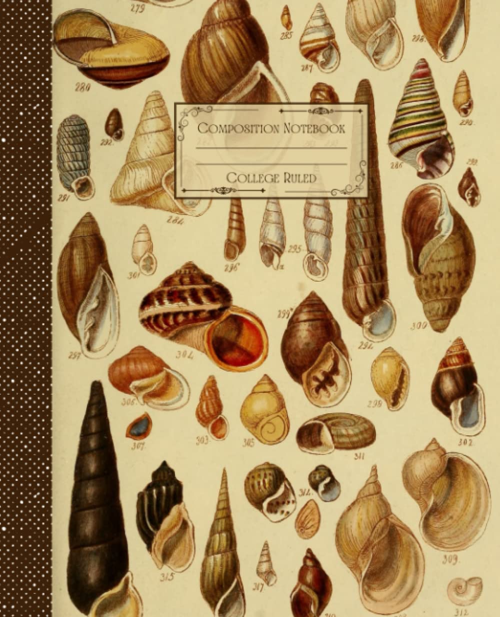 ler totalmente Vintage Seashells Composition Notebook College Ruled: Antique Seashells Illustration | Classic Composition Notebook for Writing and Journaling |... for College Students, School and Work.
