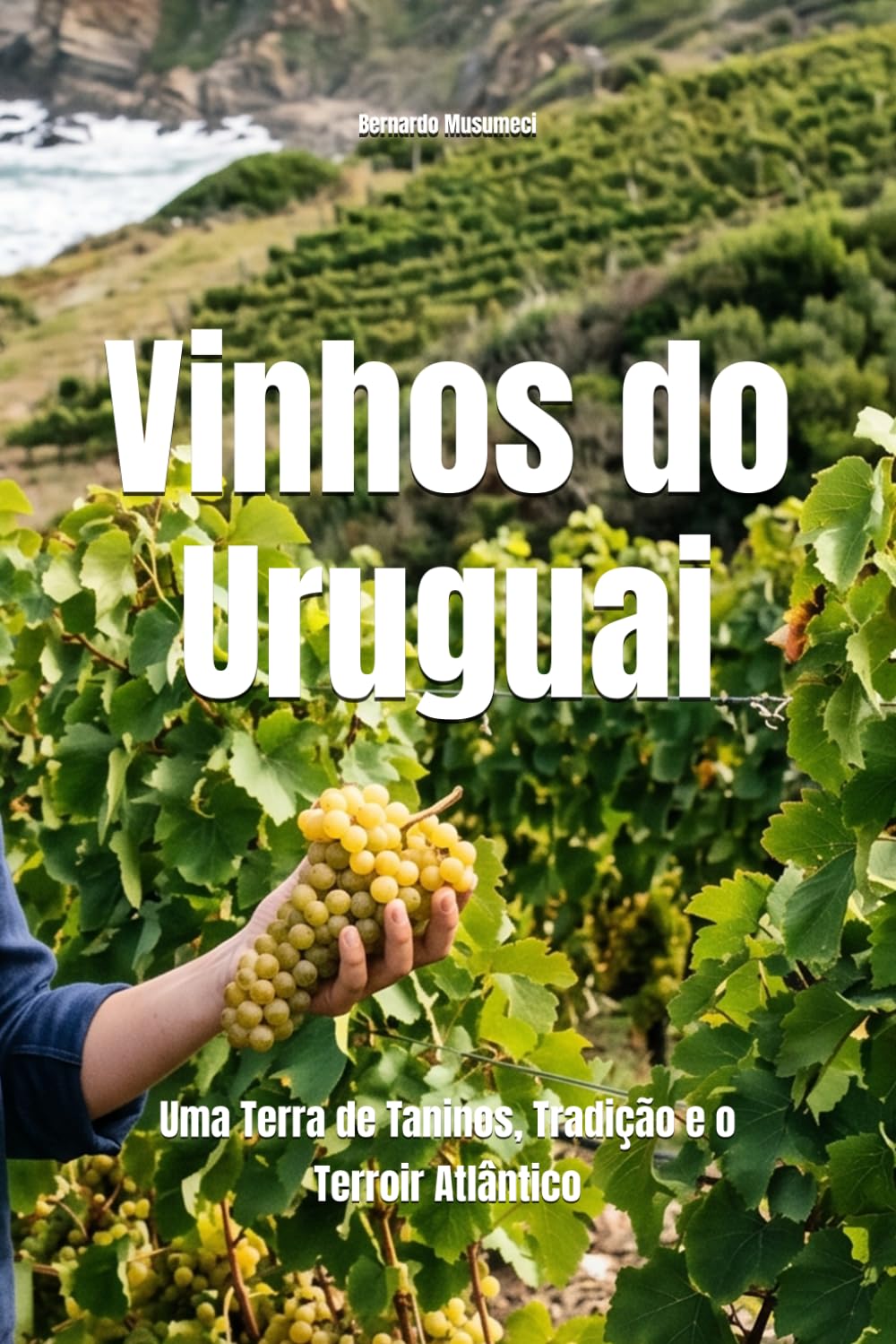 Vinhos do Uruguai: Uma Terra de Taninos, Tradição e o Terroir Atlântico: 1 baixar livro de graça