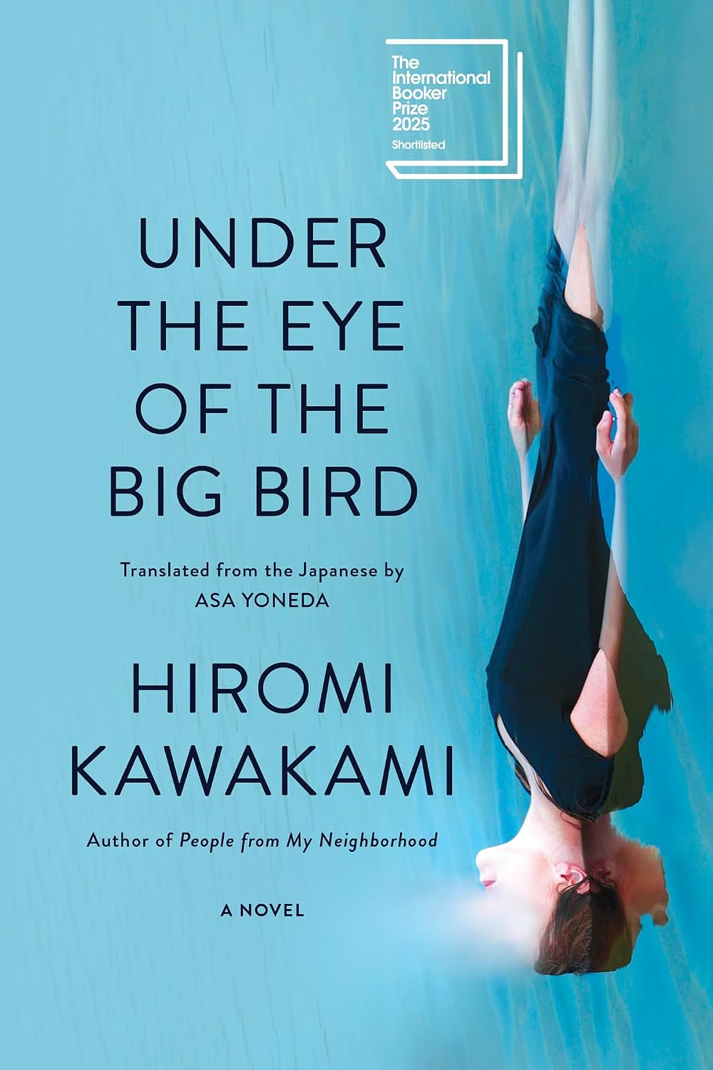 Under the Eye of the Big Bird: A Novel (English Edition) baixar livro de graça